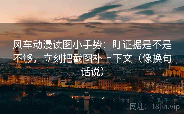 风车动漫读图小手势：盯证据是不是不够，立刻把截图补上下文（像换句话说）