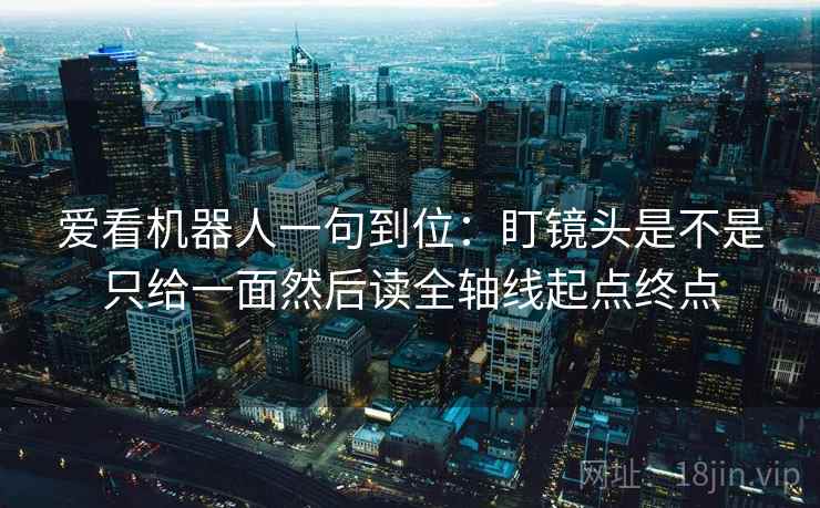 爱看机器人一句到位：盯镜头是不是只给一面然后读全轴线起点终点